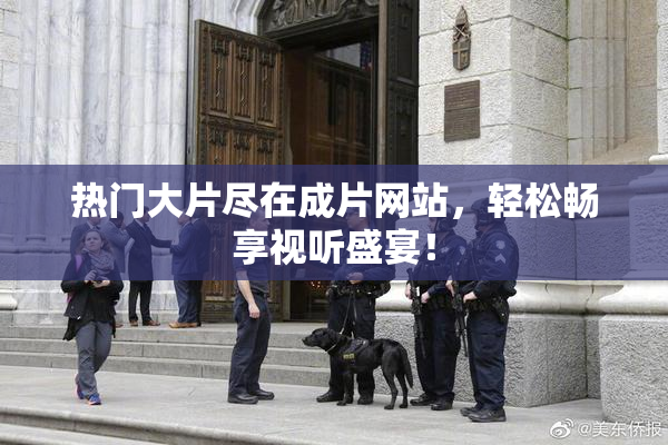 热门大片尽在成片网站，轻松畅享视听盛宴！