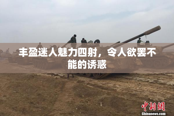 丰盈迷人魅力四射，令人欲罢不能的诱惑