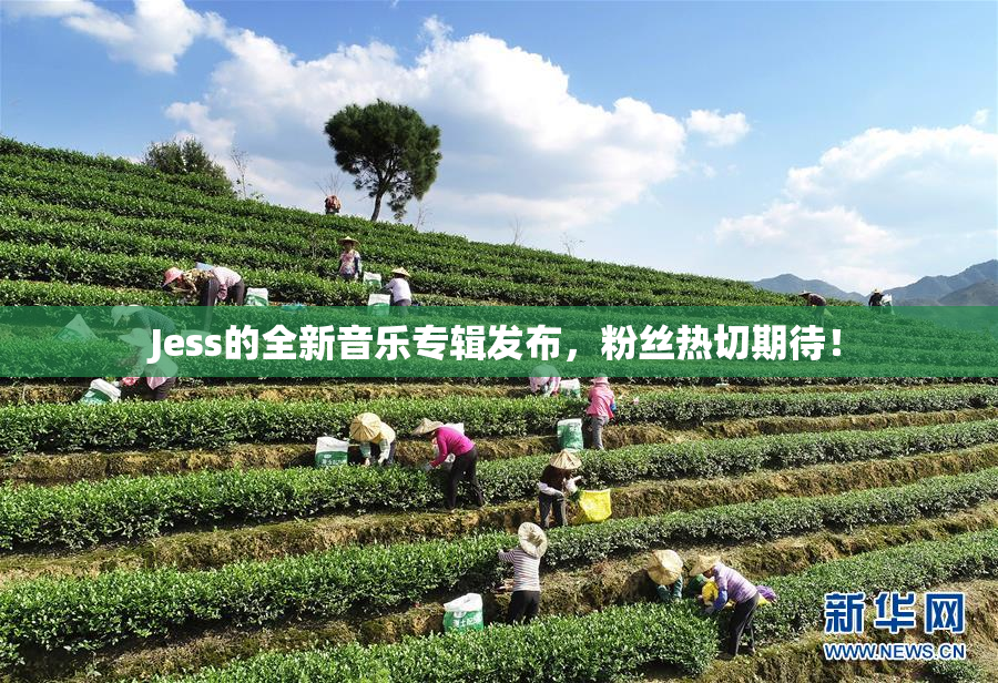 Jess的全新音乐专辑发布，粉丝热切期待！