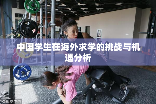 中国学生在海外求学的挑战与机遇分析