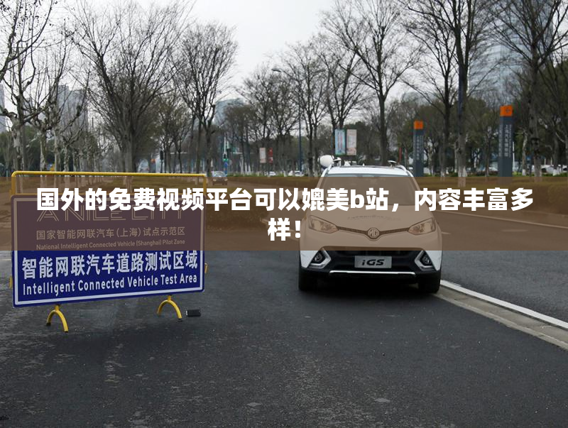 国外的免费视频平台可以媲美b站，内容丰富多样！