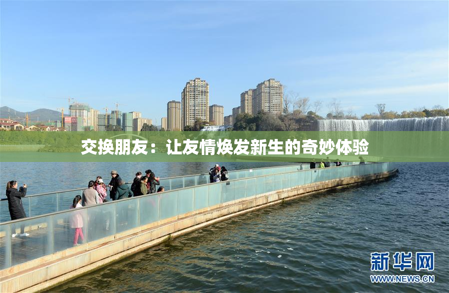 交换朋友：让友情焕发新生的奇妙体验