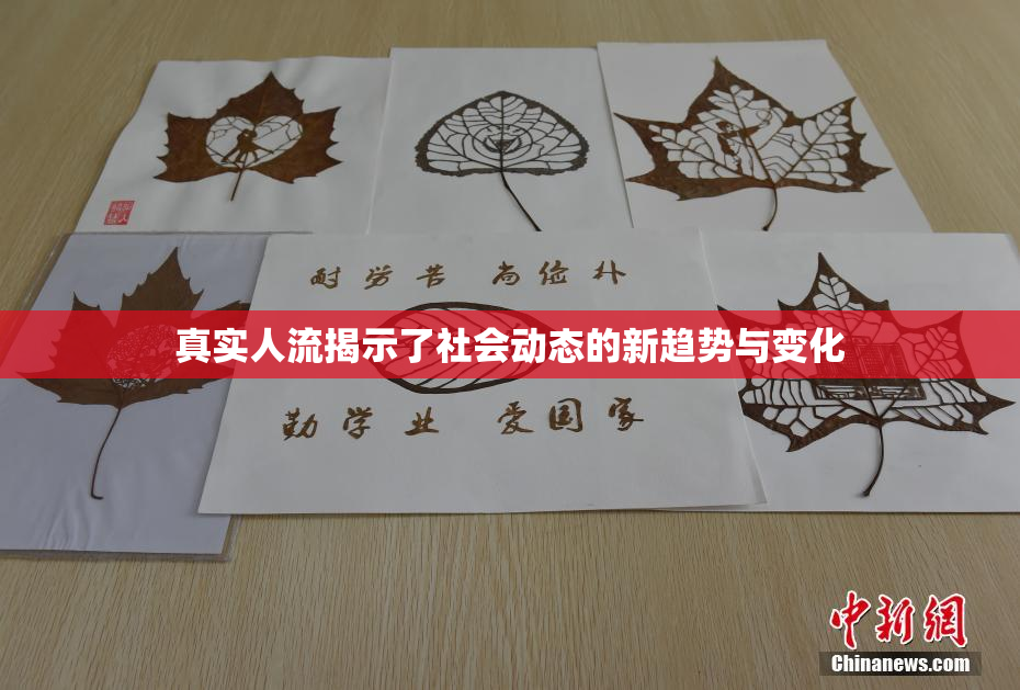 真实人流揭示了社会动态的新趋势与变化