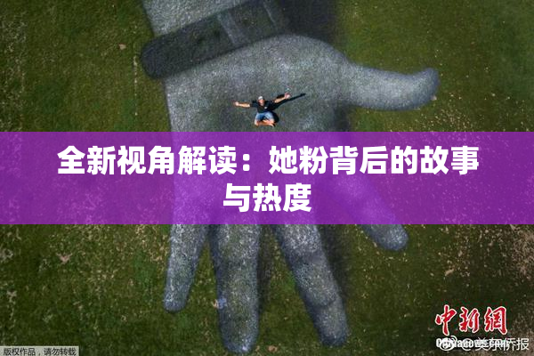 全新视角解读：她粉背后的故事与热度