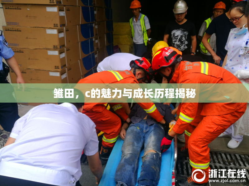 雏田，c的魅力与成长历程揭秘