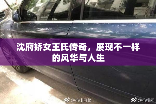 沈府娇女王氏传奇，展现不一样的风华与人生