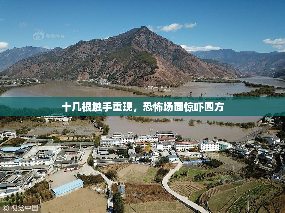 十几根触手重现，恐怖场面惊吓四方