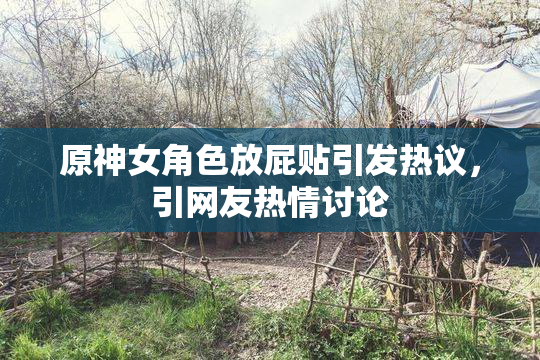原神女角色放屁贴引发热议，引网友热情讨论