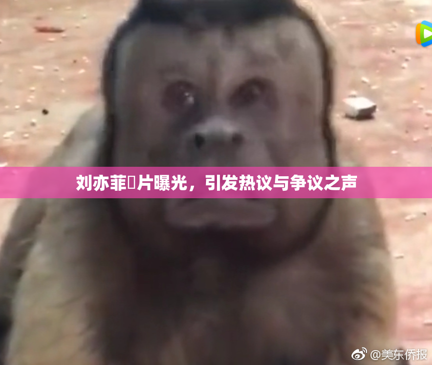 刘亦菲婬片曝光，引发热议与争议之声