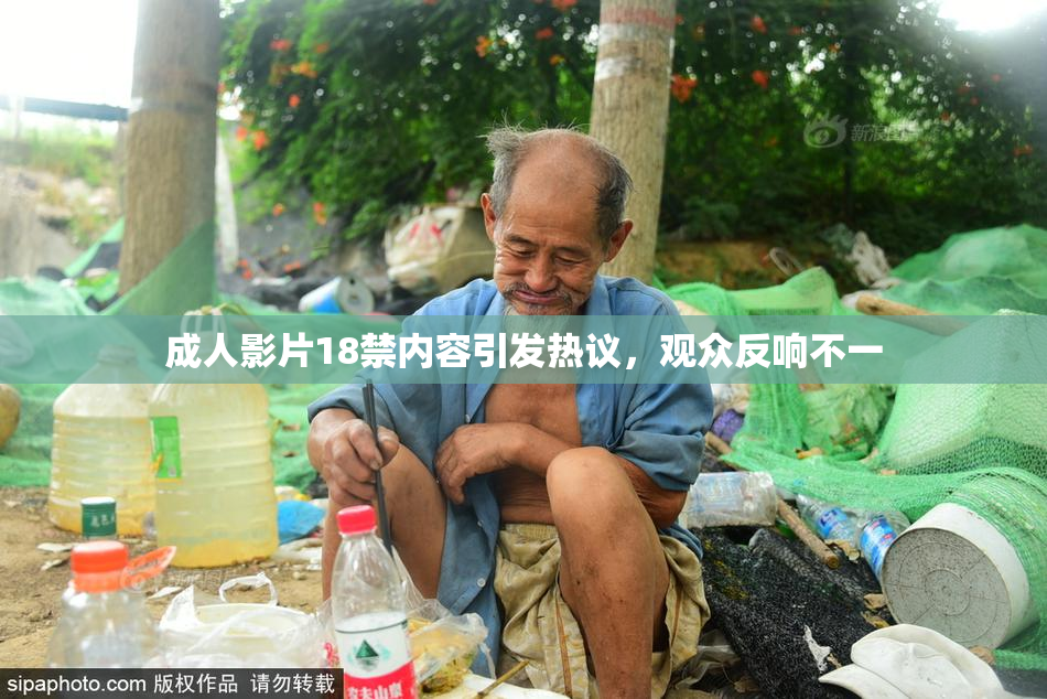 成人影片18禁内容引发热议，观众反响不一