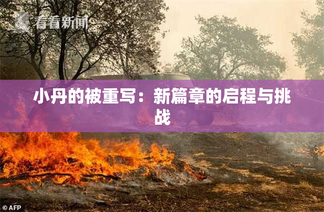 小丹的被重写：新篇章的启程与挑战