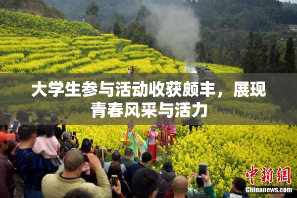 大学生参与活动收获颇丰，展现青春风采与活力