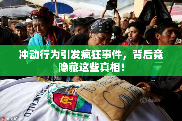 冲动行为引发疯狂事件，背后竟隐藏这些真相！