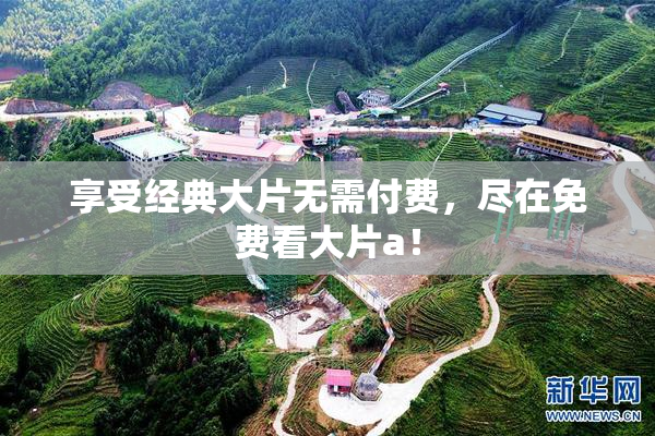享受经典大片无需付费，尽在免费看大片a！