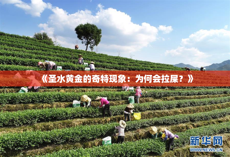 《圣水黄金的奇特现象：为何会拉屎？》