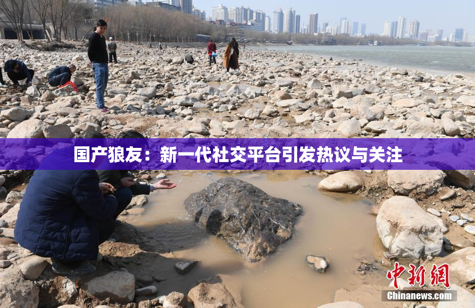 国产狼友：新一代社交平台引发热议与关注