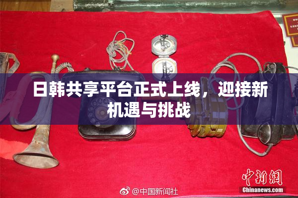 日韩共享平台正式上线，迎接新机遇与挑战