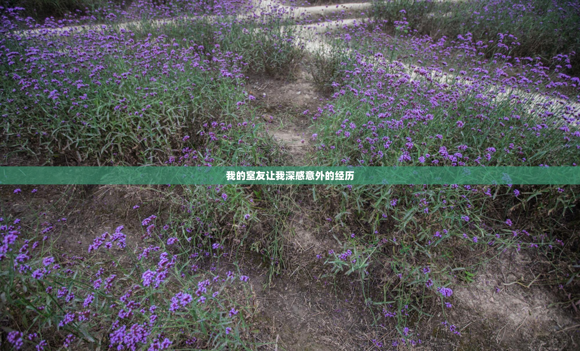 我的室友让我深感意外的经历