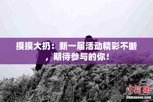 摸摸大扔：新一届活动精彩不断，期待参与的你！