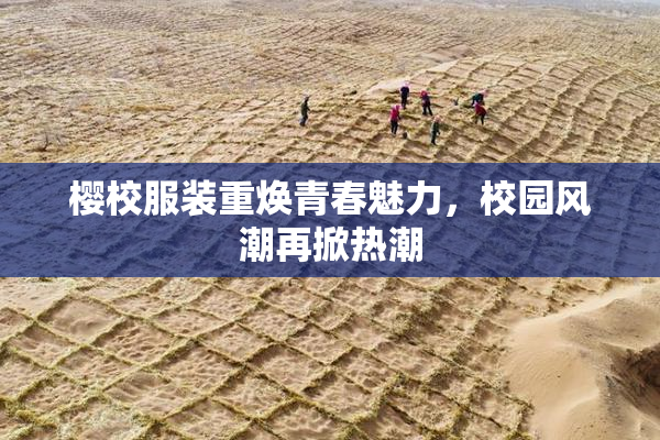 樱校服装重焕青春魅力，校园风潮再掀热潮
