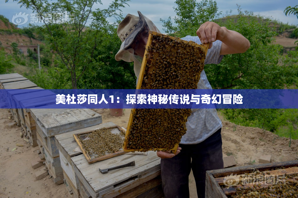 美杜莎同人1：探索神秘传说与奇幻冒险