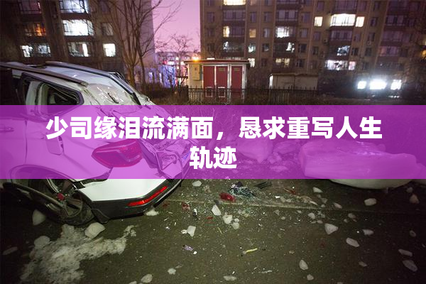 少司缘泪流满面，恳求重写人生轨迹