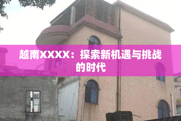 越南XXXX：探索新机遇与挑战的时代
