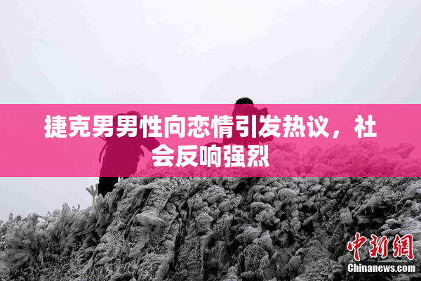 捷克男男性向恋情引发热议，社会反响强烈