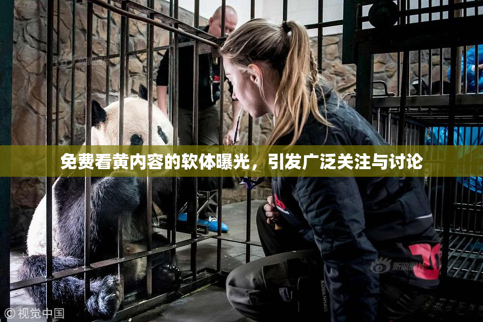 免费看黄内容的软体曝光，引发广泛关注与讨论