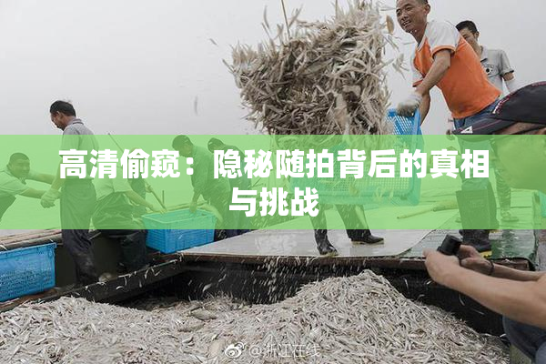 高清偷窥：隐秘随拍背后的真相与挑战