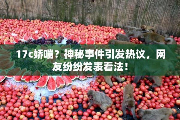 17c娇喘？神秘事件引发热议，网友纷纷发表看法！