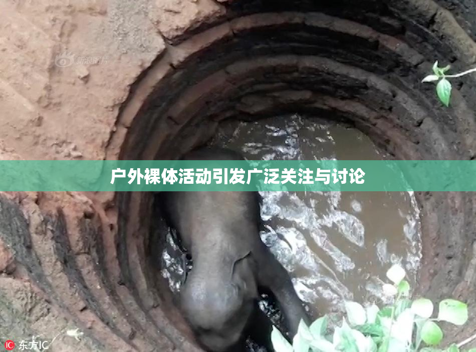户外裸体活动引发广泛关注与讨论