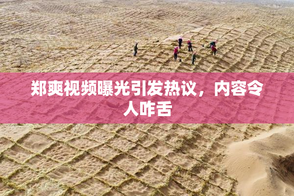 郑爽视频曝光引发热议，内容令人咋舌