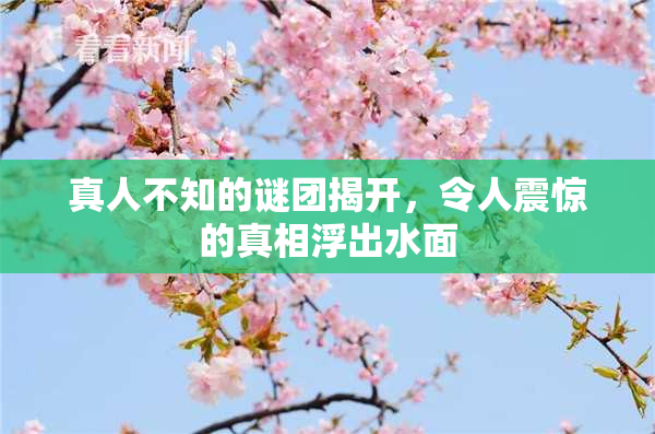 真人不知的谜团揭开，令人震惊的真相浮出水面