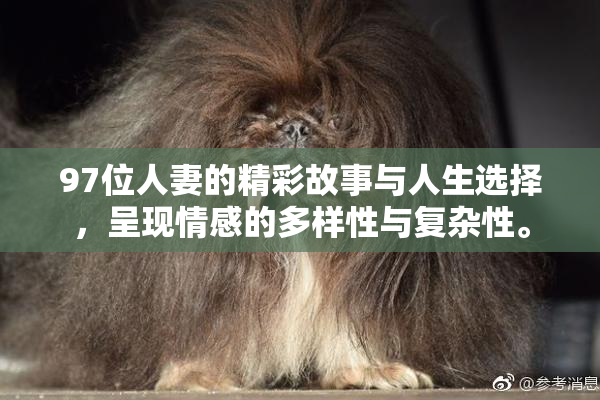 97位人妻的精彩故事与人生选择，呈现情感的多样性与复杂性。