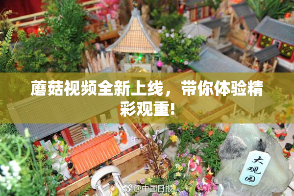 蘑菇视频全新上线，带你体验精彩观重!