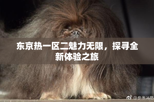 东京热一区二魅力无限，探寻全新体验之旅