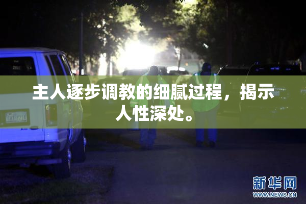主人逐步调教的细腻过程，揭示人性深处。