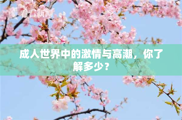 成人世界中的激情与高潮，你了解多少？