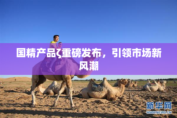 国精产品ζ重磅发布，引领市场新风潮