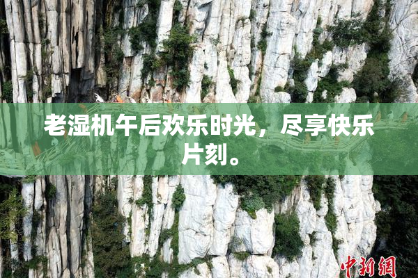 老湿机午后欢乐时光，尽享快乐片刻。