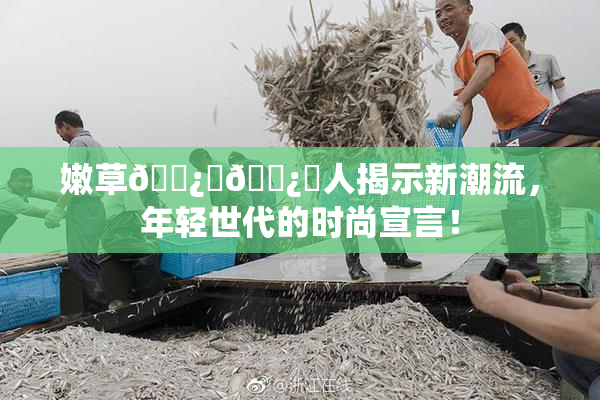 嫩草🌿‌🌿‌人揭示新潮流，年轻世代的时尚宣言！