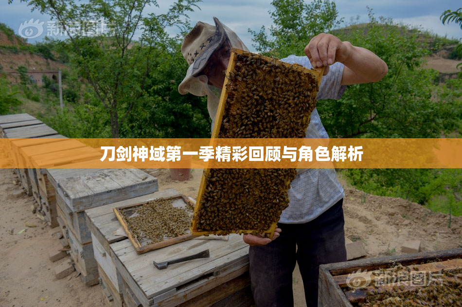 刀剑神域第一季精彩回顾与角色解析