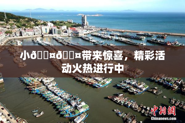小🐤🐤带来惊喜，精彩活动火热进行中