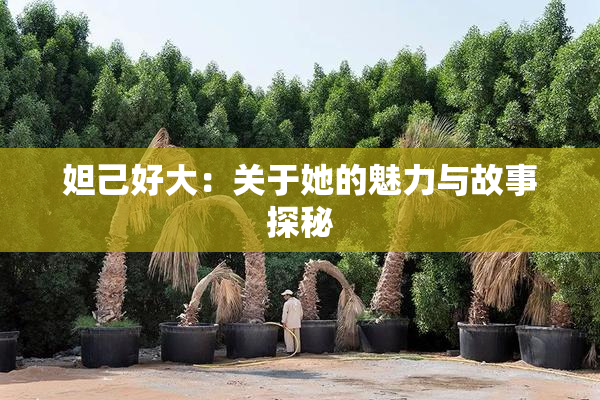 妲己好大：关于她的魅力与故事探秘