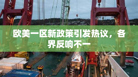 欧美一区新政策引发热议，各界反响不一