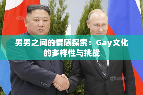 男男之间的情感探索：Gay文化的多样性与挑战