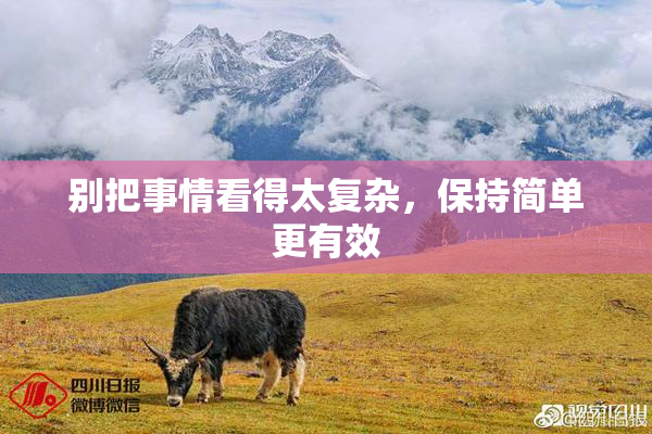 别把事情看得太复杂，保持简单更有效