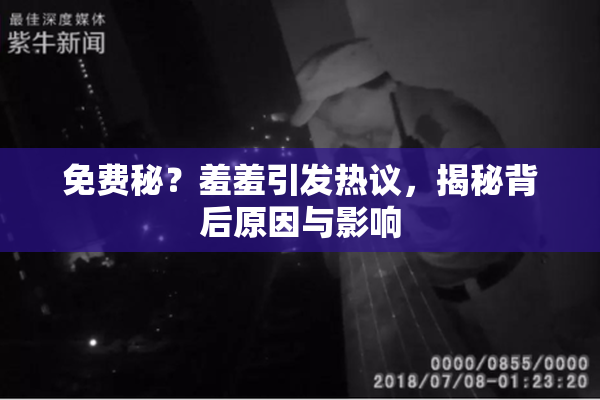 免费秘？羞羞引发热议，揭秘背后原因与影响