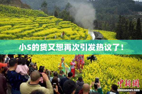 小S的货又想再次引发热议了！